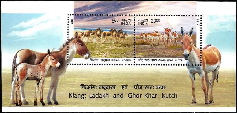 #MS116 - Wild Asses ( Kiang - Ladakh and Ghor Khar - Kutch ) - Miniature Sheet MS - MNH - India - 10 May 2013