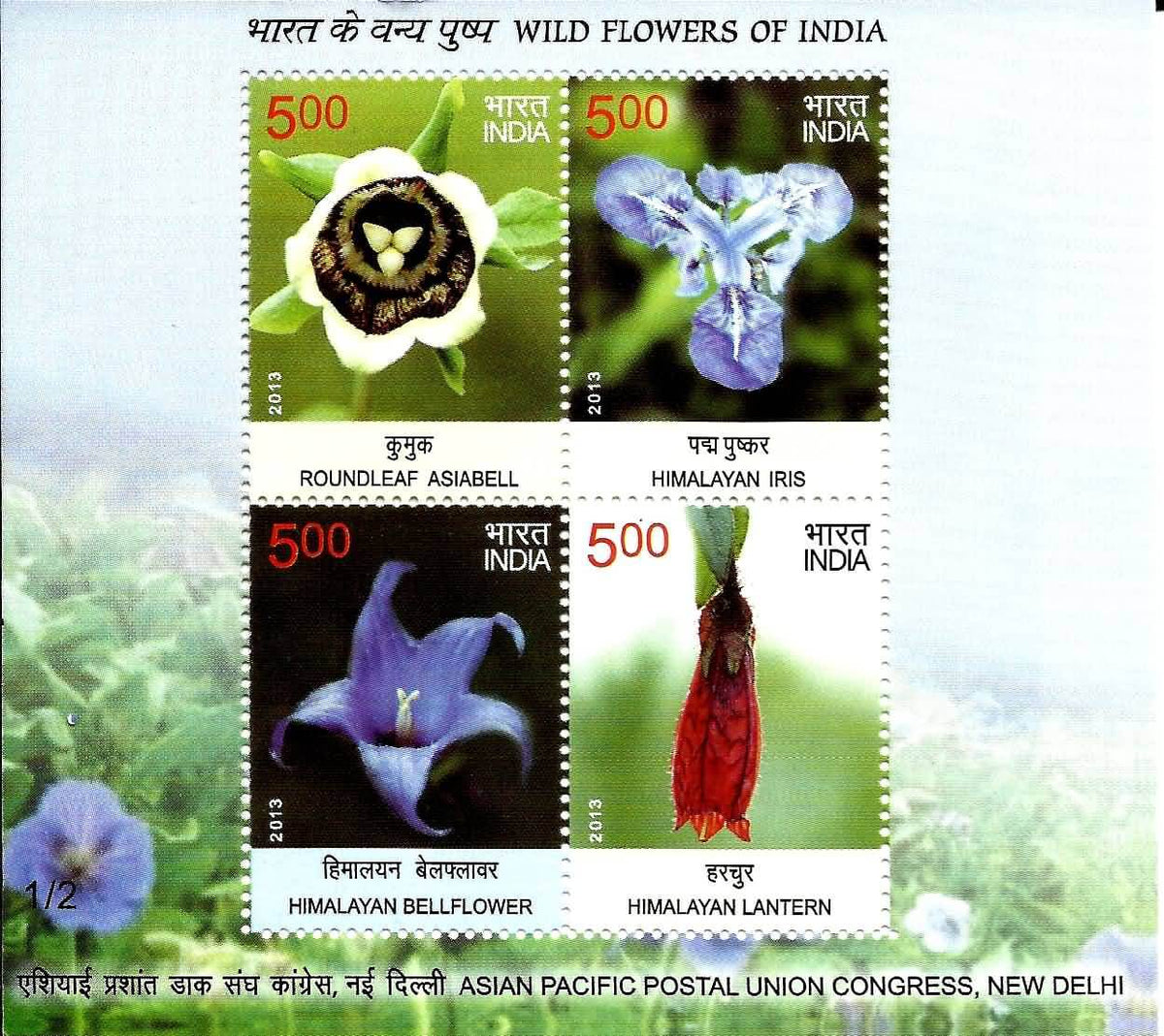#MS118 - Wild Flowers of India (2/3) - Miniature Sheet MS - MNH - India - 03 Sep 2013