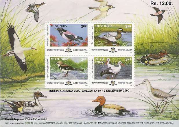 #MS11 - Migratory Birds - IndePex Asiana 2000 - Miniature Sheet MS - MNH - India - 24 May 2000
