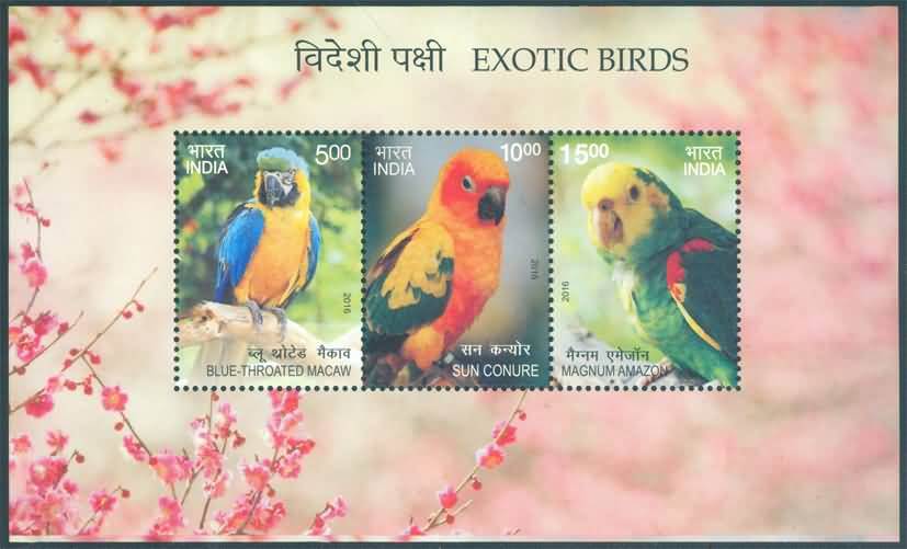 #MS152 - Exotic Birds (1/2) - Miniature Sheet MS - MNH - India - 05 Dec 2016