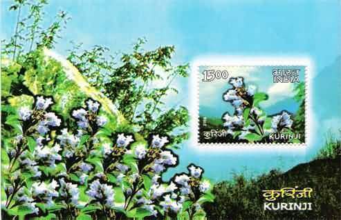 #MS37 - Save Kurinji Campaign - Miniature Sheet MS - MNH - India - 29 May 2006