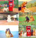 #PC163 - Pets of India (Set of 5) - Picture Postcard - New Delhi - India - 05 Apr 2026