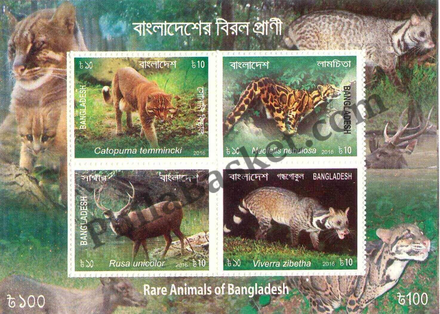 FI39 Rare Animal Of Bangadesh 2 Miniature Sheet Bangladesh 2016 Buy Bangladesh Stamps PhilaBasket.com  ?v=1707395663